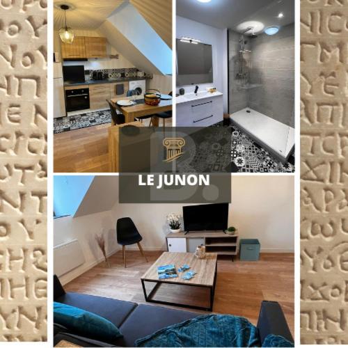 Junon - Appart Tout Equipe, Renove Vichy Rom bilde